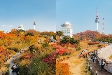 2025年韓國賞楓攻略，首爾釜山熱門賞楓景點等你來