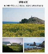 濟州島包車一日遊｜臺灣人親測！本地導遊超讚+零隱消不踩雷❤️