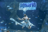 普吉水族館頂流！Aquaria行程規劃+5個必玩亮點💡
