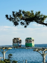 釜山通行證領取全指南：實體卡與電子憑證申領攻略