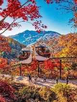2025最新韓國賞楓攻略（最佳賞楓時間+賞楓必訪景點