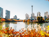 2025首爾近郊，感受紅楓浸染山林的獨特韻味