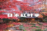 2025日本關西賞楓終極攻略：比叡山延歷寺×近江八幡運河×教林坊夜楓，三大必打卡勝地一日巡禮！