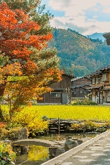 超全日本都道府縣的紅葉絕景地大盤點（中部地區）