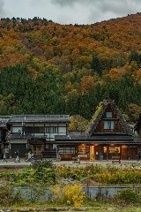 超全日本都道府縣的紅葉絕景地大盤點（四國地區）