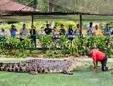 蘭卡威鱷魚公園親子遊+避坑攻略｜趣味科普與避坑指南，帶娃玩轉鱷魚世界！