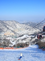 【2025 韓國滑雪】超實用攻略，帶你暢滑冬日！