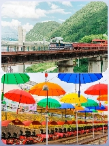 韓國冬日一日遊攻略｜冰川+羊駝+南怡島+鐵道！早鳥優惠超讚