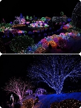 韓國冬天玩什麼？這條一日遊直接包辦所有幻想！避坑指南來了✨