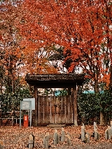 不可錯過的紅葉景點 | 今年九州紅葉預測與一日遊攻略