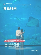 🇰🇷濟州島水族館保姆級攻略💡（含營業時間、門票、免費項目、注意事項）