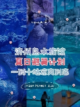 🇰🇷濟州島水族館10站暢遊海底世界！（含景點介紹及景點交通）