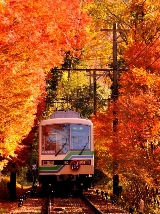 【京都賞楓終極指南】京都叡山電車紅葉隧道乘車攻略＋比叡山延歷寺賞楓遊玩路線完整解析