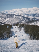 日本滑雪場全攻略：2025雪季六大雪場價格對比＆選雪場指南