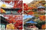 2025韓國紅葉季：這5個韓國賞楓景點，10月的韓國美到犯規