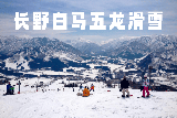 【2025-2026日本滑雪場推薦】長野白馬五龍滑雪場：初學者天堂，長野粉雪+溫泉體驗