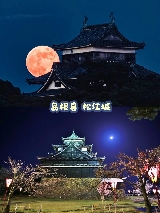 🌕 秋夜浪漫：日本必去的賞月名所