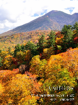 25日本北海賞楓最省錢交通攻略！趕緊來看看！