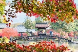日本賞楓勝地：岐阜虎溪山永保寺賞楓與交通全指南