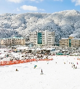 韓國維瓦爾第公園滑雪世界滑雪熱門時間及周邊住宿接駁車攻略