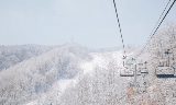 首爾 1h 飆到！韓國大明滑雪場：《藍海》同款 + 新手友好，冬季滑雪必沖