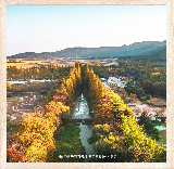 慶北千年森林庭院：藏在慶州的自然秘境，免費解鎖韓劇同款 「人生照」🌿