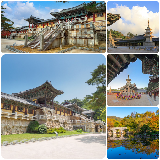 慶州半日遊實測｜佛國寺+皇理團路+博物館！釜山出發超方便✨