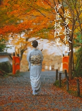 被《國家地理》點名推薦的伊豆，藏著日本本地人私藏的賞楓神仙地，人少景絕！（上）