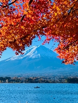 日本自由行天花板！富士山這樣玩才夠味，雪山滑雪+網紅打卡全攻略！