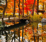 【2025最新】韓國南怡島終極遊玩攻略：行前準備、交通、吃喝玩樂全解析