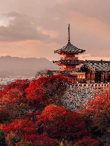 2025大阪/京都/奈良🍁紅葉時間！