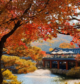 11 月韓國旅行全攻略：天氣穿搭、註意事項與行李 APP 必備指南