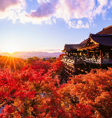 跟著柯南打卡京都清水寺（附低價訂酒店攻略）