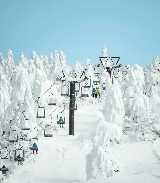 25-26日本中部、東北雪場決賽圈，粉雪天堂＋交通絲滑＋性價比高！》