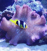 野柳海洋世界｜30年生態館體驗總結：這些亮點別錯過📝