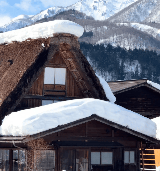 2026年日本白川鄉點燈節完全攻略｜Hopetrip預約指南・一生必訪的童話雪景