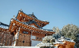 韓國冬季旅遊指南：浪漫雪景與文化體驗