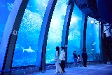 橫濱八景島通票實測｜4大水族館+15設施！預訂前3個必睇重點✨