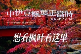 日本晚楓這裏正紅｜來修善寺抓住秋天的尾巴🍁
