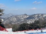 韓國洪川大明維瓦爾第公園滑雪世界全攻略：冰雪王國的極致體驗（開放時間/交通/體驗亮點）