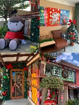 🇹🇭曼谷聖誕隱藏款！一周只開兩天的溫馨小屋，治愈感拉滿