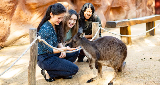悉尼野生動物園｜市區就能摸袋鼠！門票攻略+隱藏體驗大公開🤩