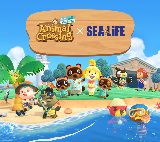 墨爾本水族館實測｜動森聯名+隱藏餵食秀攻略！超抵玩