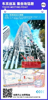 東京冬日小團實測｜3行程怎麽選？避坑3大重點別踩雷✨