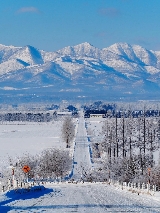 北海道冬季自由行攻略｜9大必去景點！