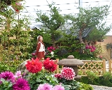 苗栗花露農場實測！6萬朵繡球花炸開+精油DIY超讚✨