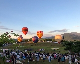 花東包車一日遊實測｜4大經典景點+預訂避坑指南｜親子情侶都適合✨