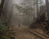 新北八通關古道實測｜百年古蹟+絕美山景，親子輕健行避坑指南✨