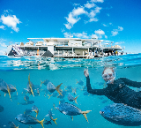 澳洲大堡礁一日遊實測｜漢密爾頓島出發超抵玩！避坑指南✨