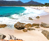 塔斯馬尼亞酒杯灣一日遊實測｜1.5小時徒步換仙境值嗎？避坑全攻略✨